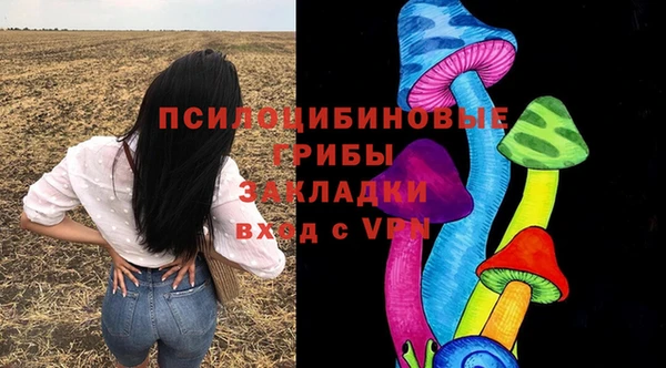 амф Алексин