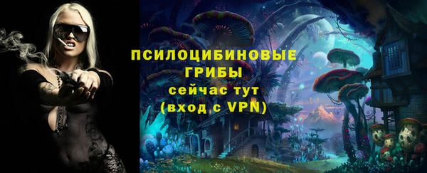 амф Алексин
